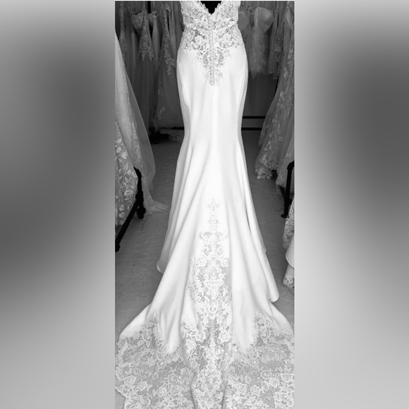 Amy - Picture 4 of 5